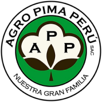 image (6)